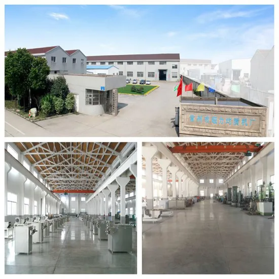 Homogénéisateur haute pression du lait 3000L/H (GJB3000